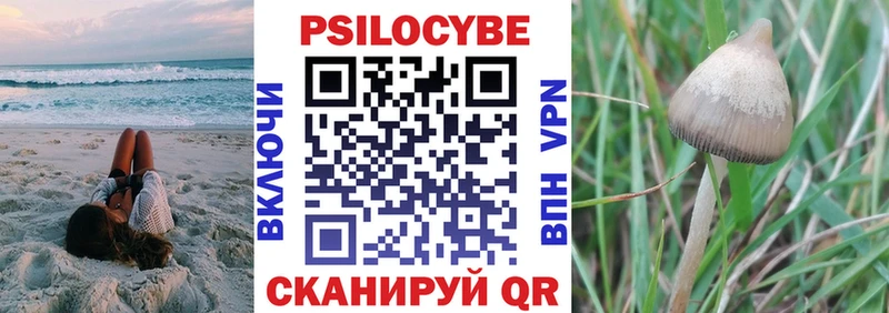 Псилоцибиновые грибы мицелий Шлиссельбург